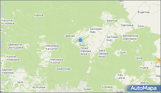 mapa Nowa Dębowa Wola, Nowa Dębowa Wola na mapie Targeo